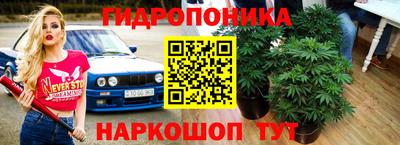 прущий лед Будённовск