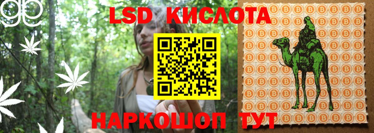 Наркотические марки  Марки NBOMe 1,5мг  Вход с VPN  Новодвинск 